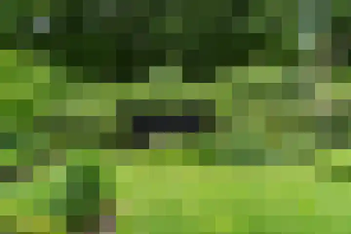 Compagnie 17 Ede thumbnail 58