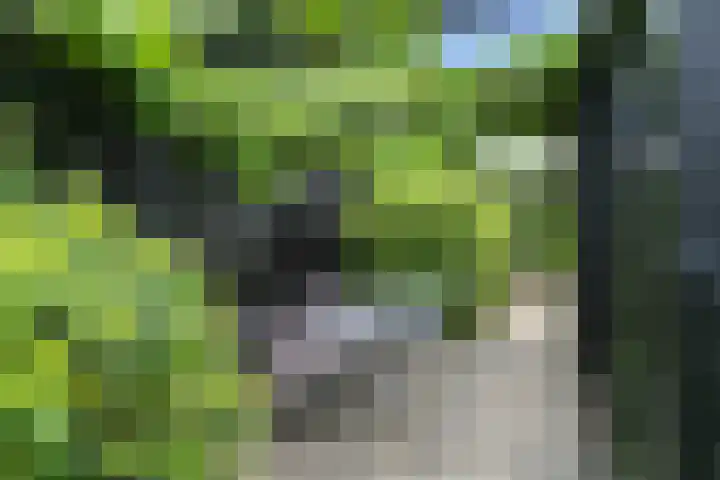 Compagnie 17 Ede thumbnail 60