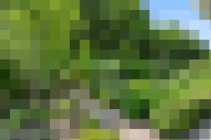 Compagnie 17 Ede thumbnail 61