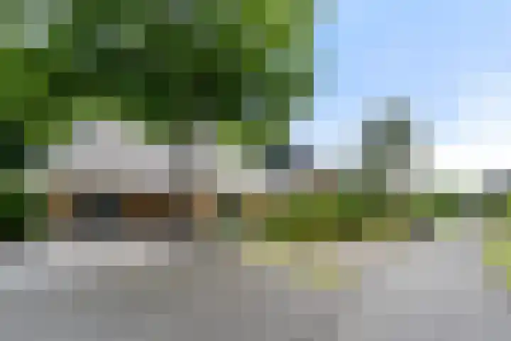 Compagnie 17 Ede thumbnail 65