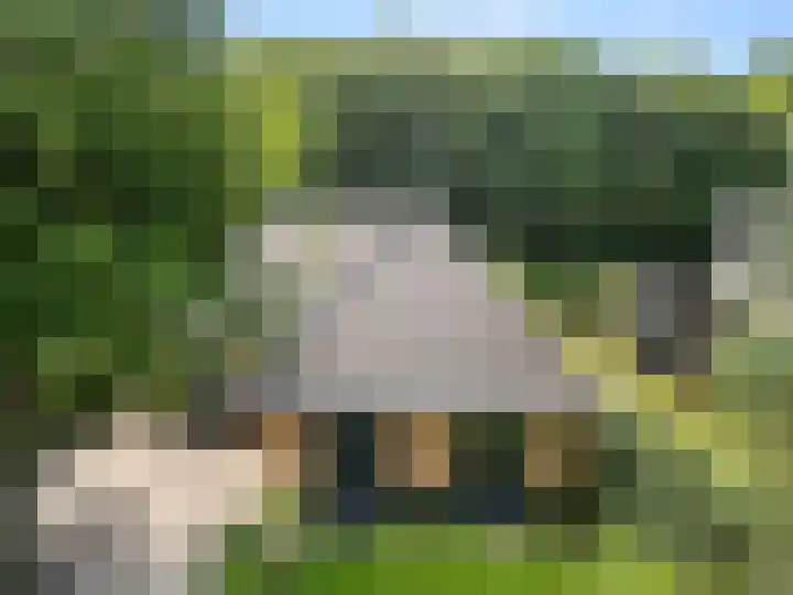 Compagnie 17 Ede thumbnail 67
