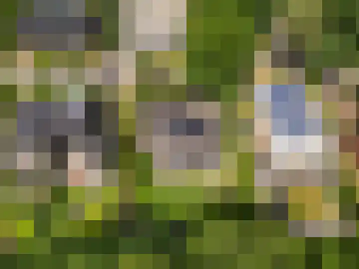 Compagnie 17 Ede thumbnail 68