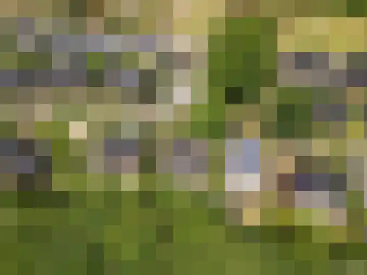 Compagnie 17 Ede thumbnail 69