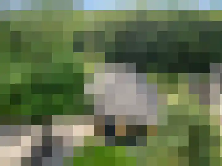 Compagnie 17 Ede thumbnail 7
