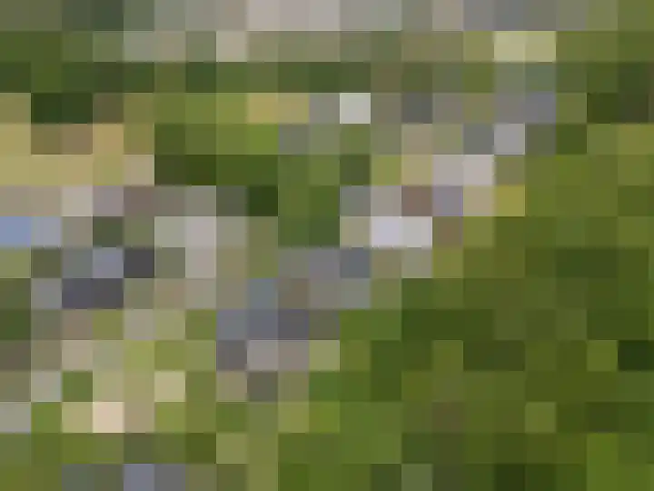 Compagnie 17 Ede thumbnail 70