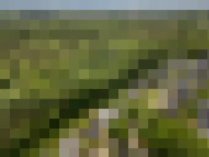 Compagnie 17 Ede thumbnail 71