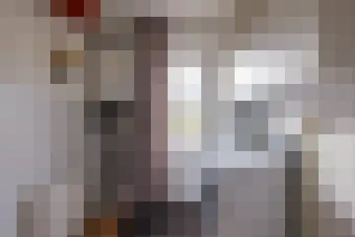 Compagnie 20 Surhuisterveen thumbnail 17