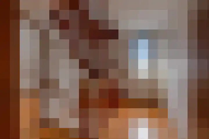 Compagnie 20 Surhuisterveen thumbnail 18