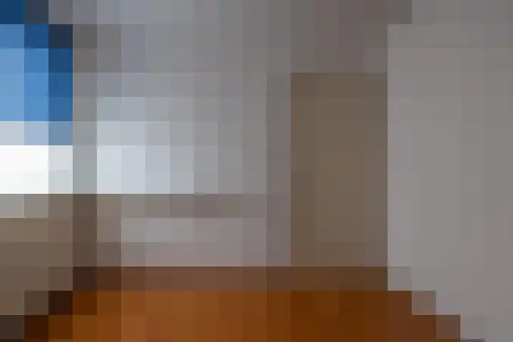 Compagnie 20 Surhuisterveen thumbnail 20