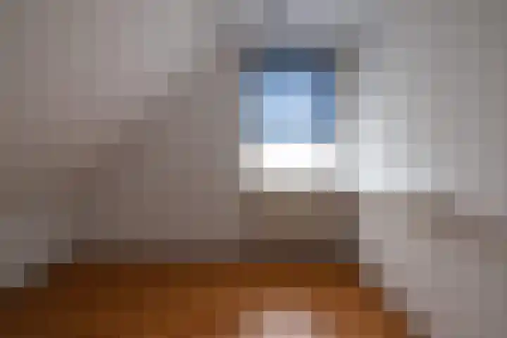 Compagnie 20 Surhuisterveen thumbnail 21