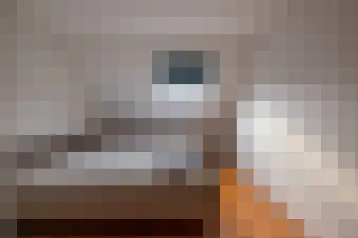 Compagnie 20 Surhuisterveen thumbnail 25