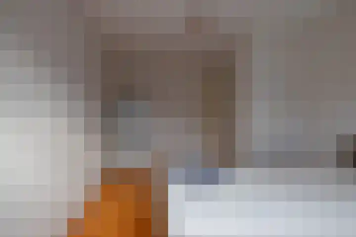 Compagnie 20 Surhuisterveen thumbnail 26