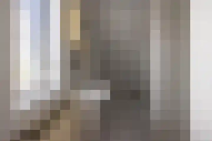 Compagnie 20 Surhuisterveen thumbnail 27