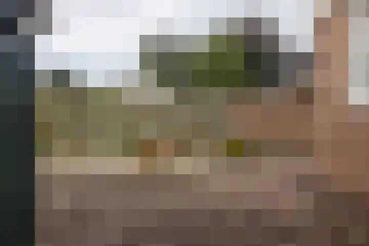Compagnie 20 Surhuisterveen thumbnail 37