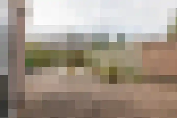 Compagnie 20 Surhuisterveen thumbnail 38