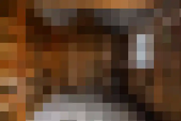 Compagnie 20 Surhuisterveen thumbnail 40