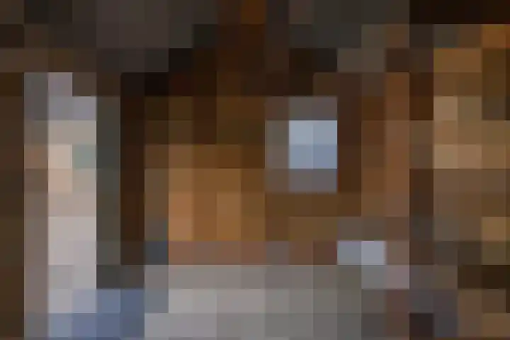 Compagnie 20 Surhuisterveen thumbnail 41