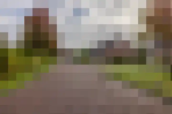 Compagnie 20 Surhuisterveen thumbnail 43