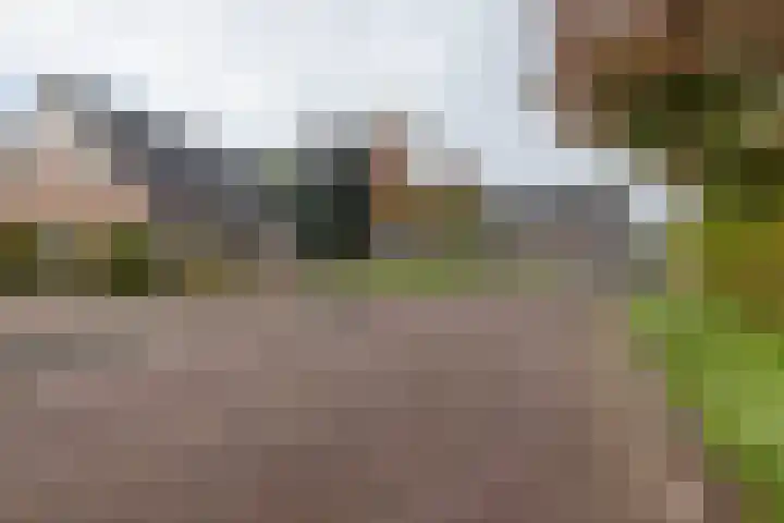 Compagnie 20 Surhuisterveen thumbnail 44