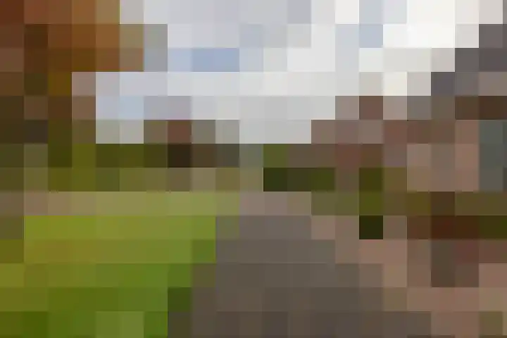 Compagnie 20 Surhuisterveen thumbnail 45