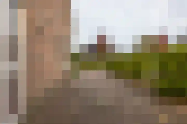 Compagnie 20 Surhuisterveen thumbnail 5