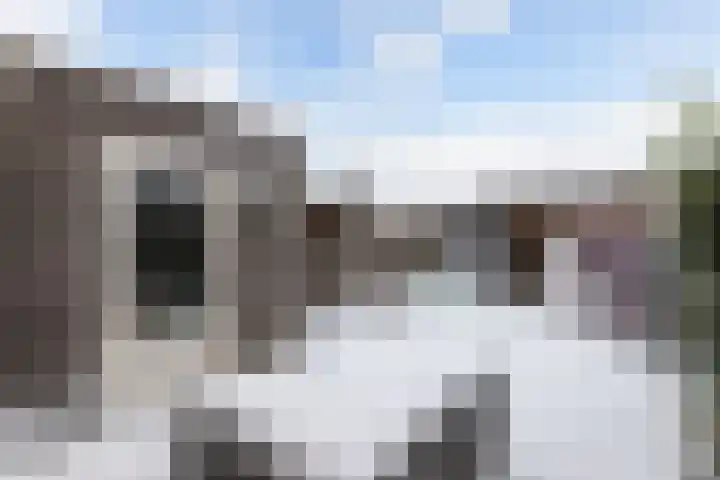 Compagnie 51 Steenwijk thumbnail 28