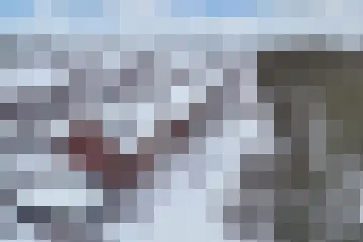 Compagnie 51 Steenwijk thumbnail 36