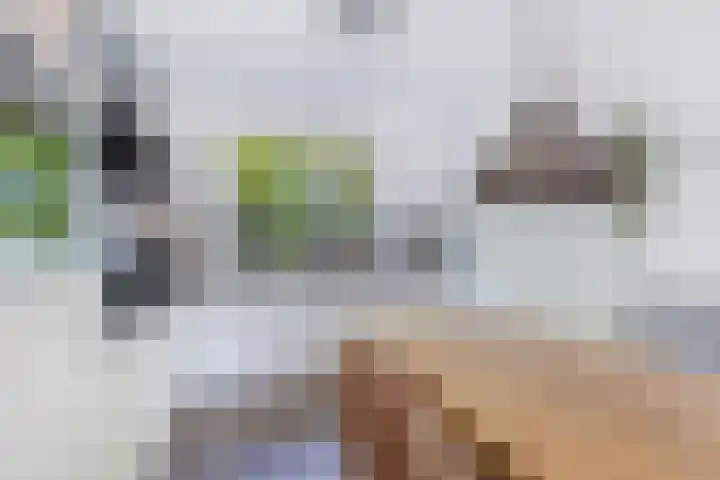 Compagnie 57 Steenwijk thumbnail 12