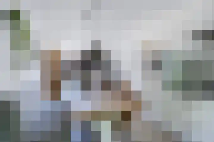 Compagnie 57 Steenwijk thumbnail 14