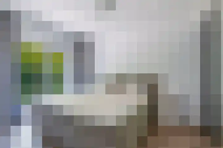 Compagnie 57 Steenwijk thumbnail 17