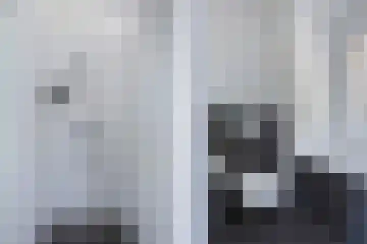 Compagnie 57 Steenwijk thumbnail 22