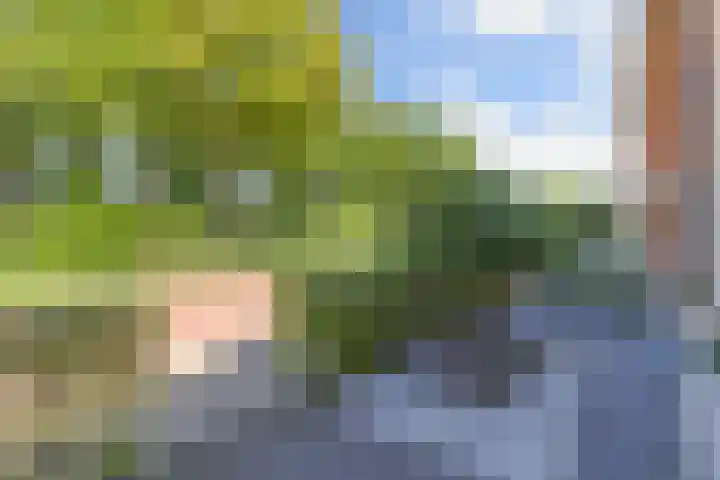 Compagnie 57 Steenwijk thumbnail 46