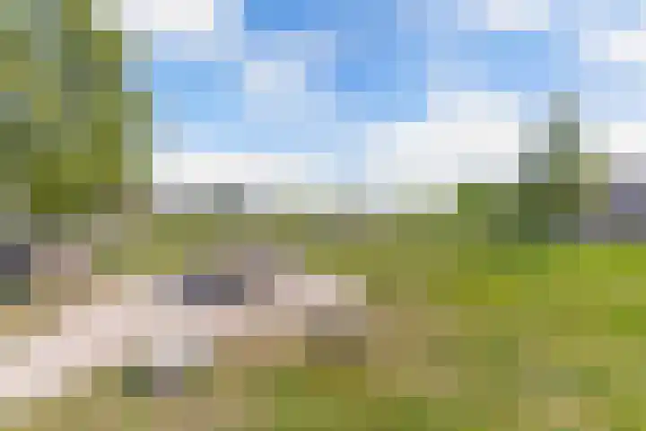Compagnie 57 Steenwijk thumbnail 49