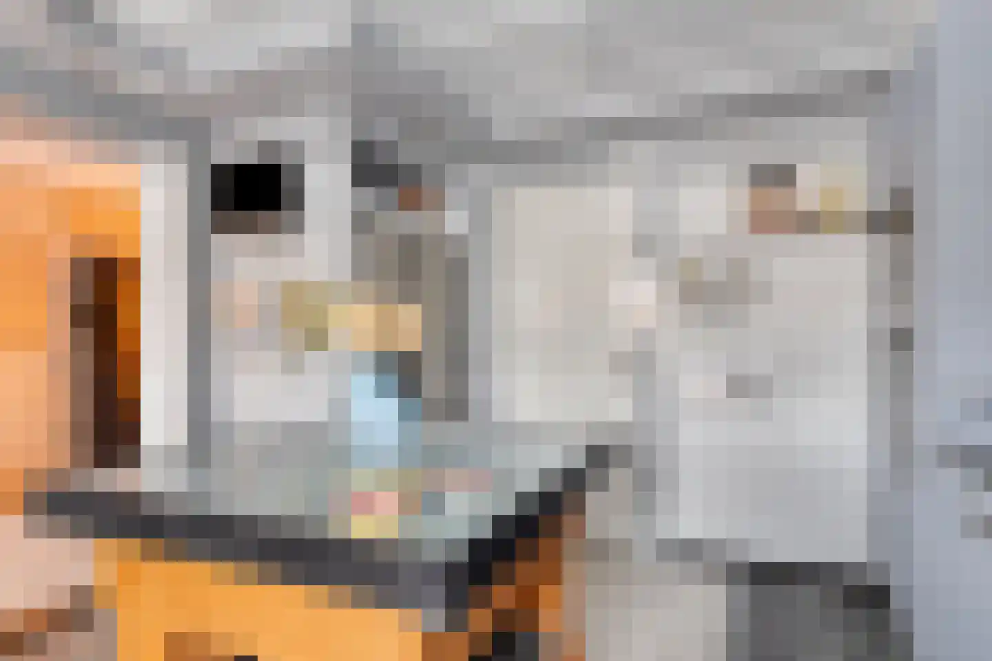 Compagniesterwijk 24 Oude Pekela thumbnail 18
