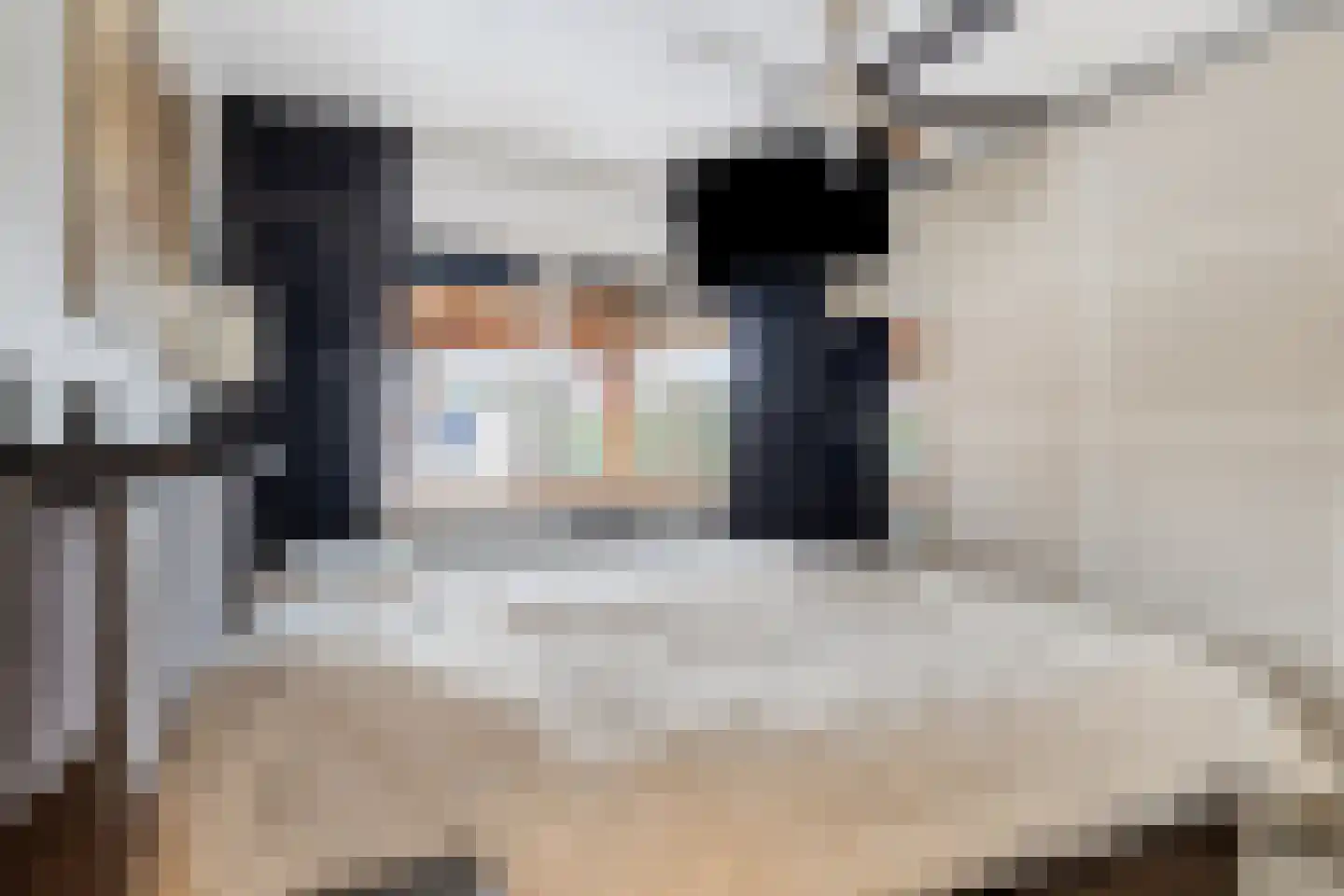 Compagniesterwijk 24 Oude Pekela thumbnail 21