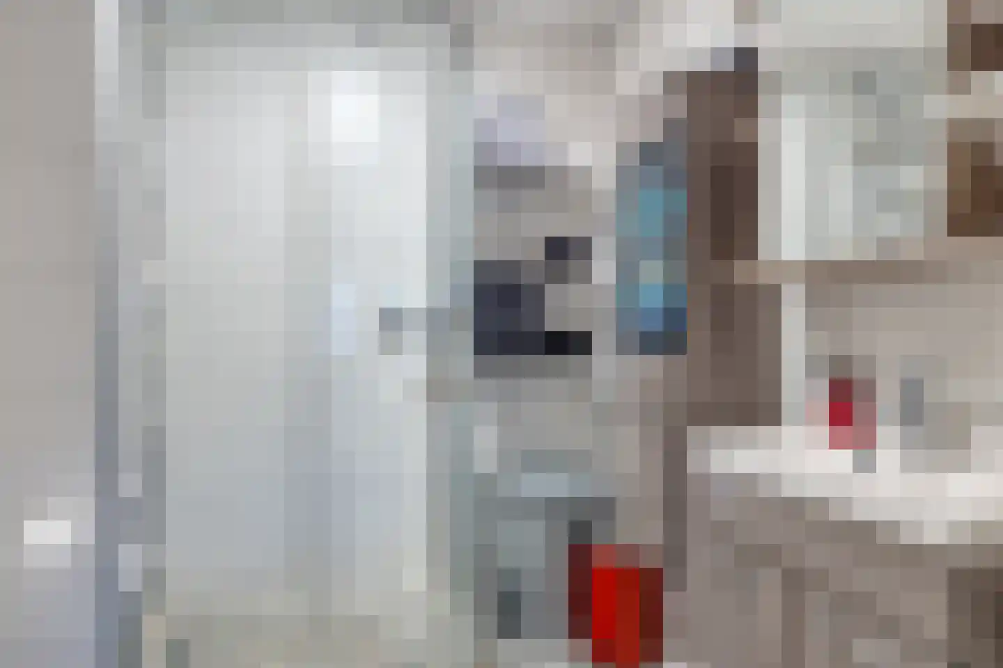 Compagniesterwijk 24 Oude Pekela thumbnail 23