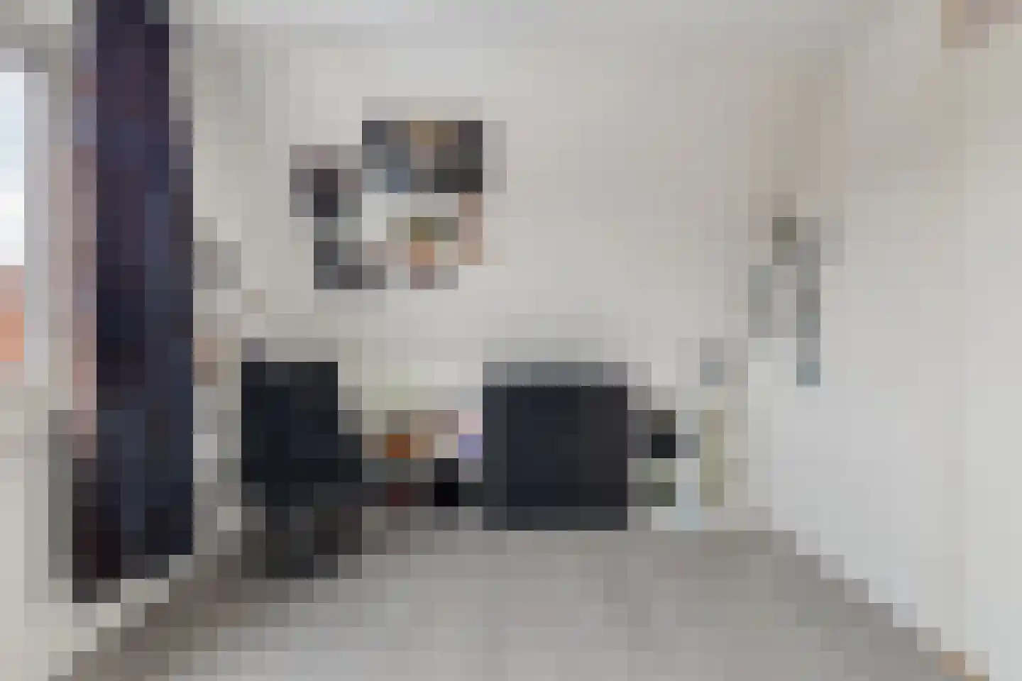 Compagniesterwijk 24 Oude Pekela thumbnail 34