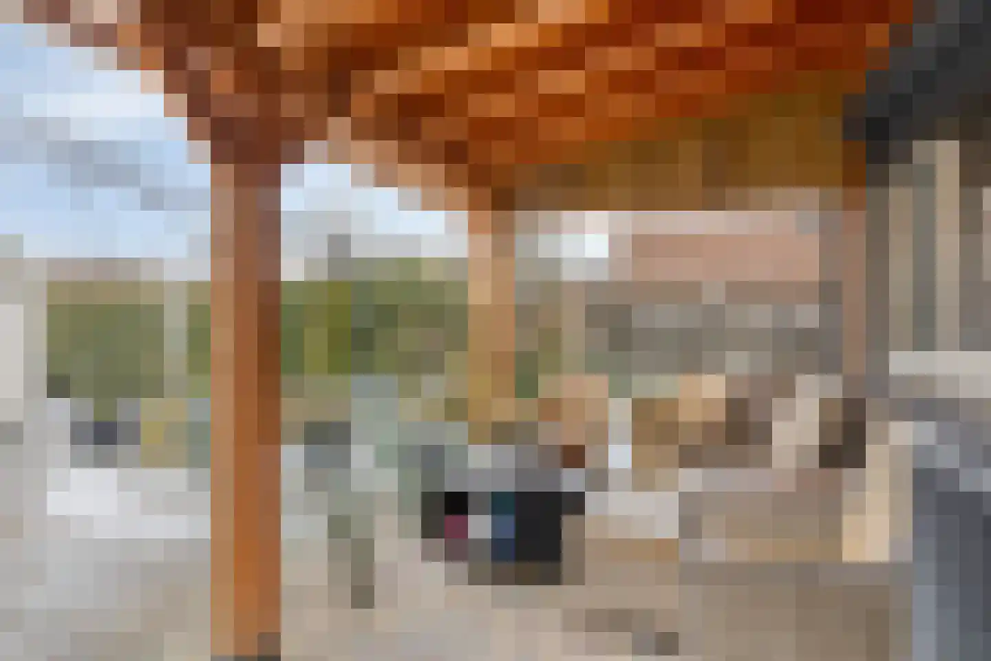 Compagniesterwijk 24 Oude Pekela thumbnail 35
