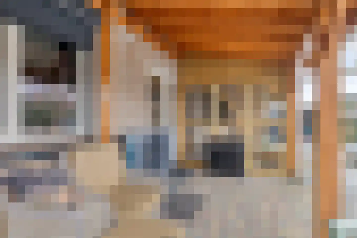 Compagniesterwijk 24 Oude Pekela thumbnail 36
