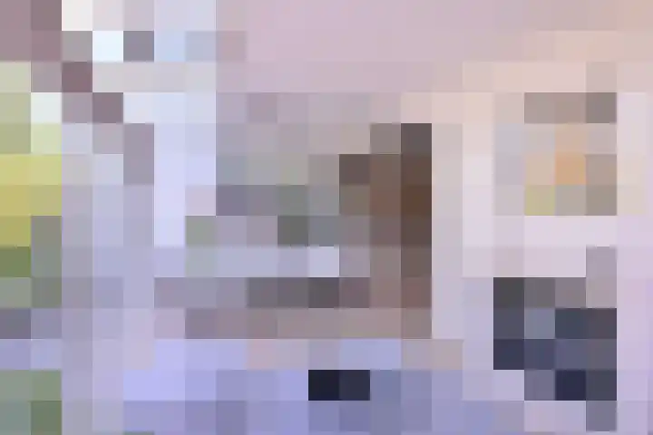 Compagniestraat 1 Schalkhaar thumbnail 14