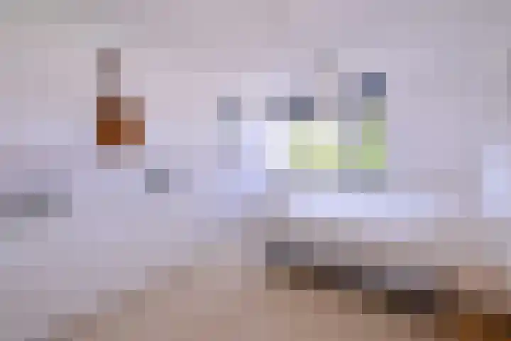 Compagniestraat 1 Schalkhaar thumbnail 22