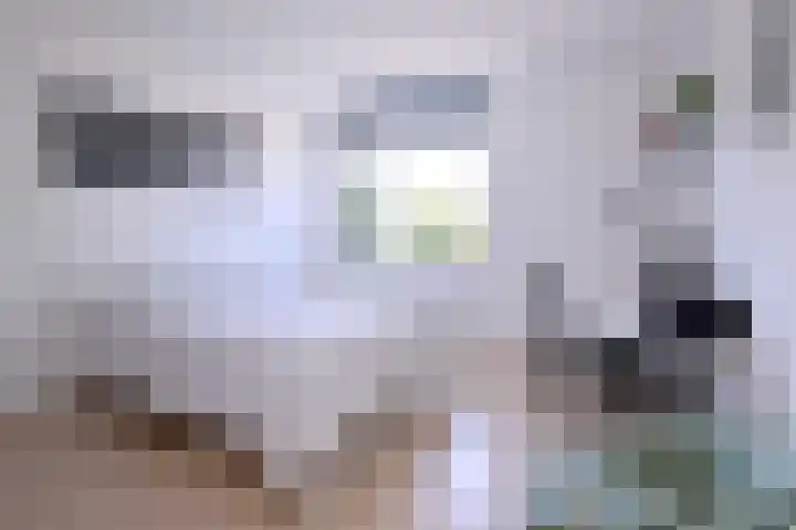 Compagniestraat 1 Schalkhaar thumbnail 26