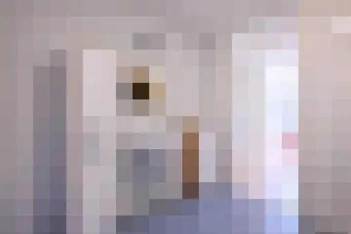Compagniestraat 1 Schalkhaar thumbnail 30