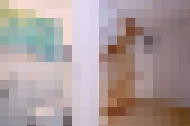 Compagniestraat 1 Schalkhaar thumbnail 31