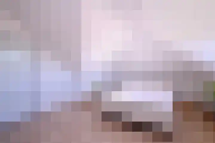Compagniestraat 1 Schalkhaar thumbnail 34