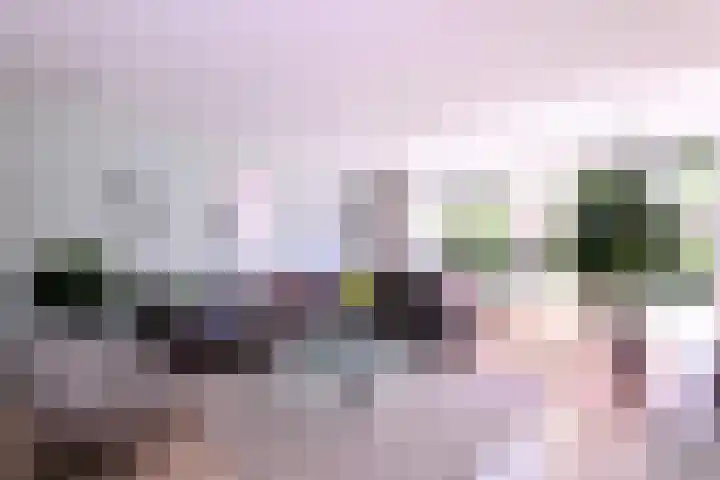 Compagniestraat 1 Schalkhaar thumbnail 4