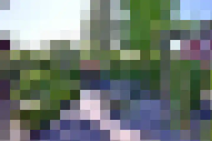 Compagniestraat 1 Schalkhaar thumbnail 47