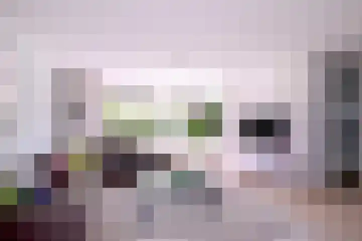 Compagniestraat 1 Schalkhaar thumbnail 5
