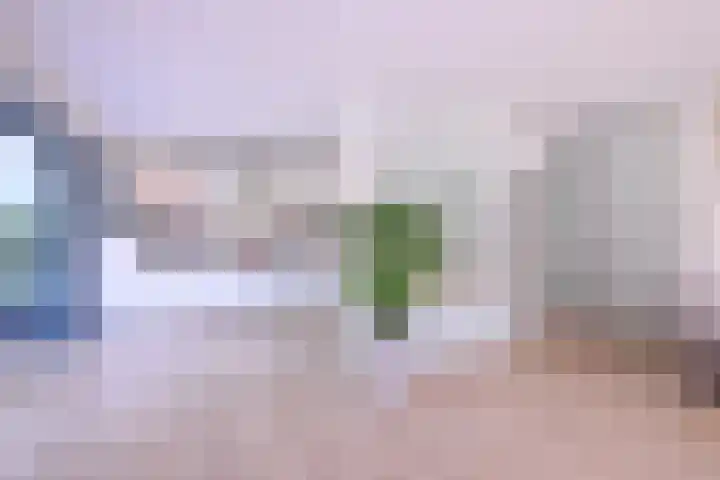 Compagniestraat 1 Schalkhaar thumbnail 8