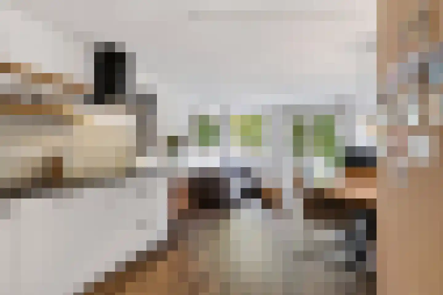 Compagniestraat 52 Amsterdam thumbnail 10